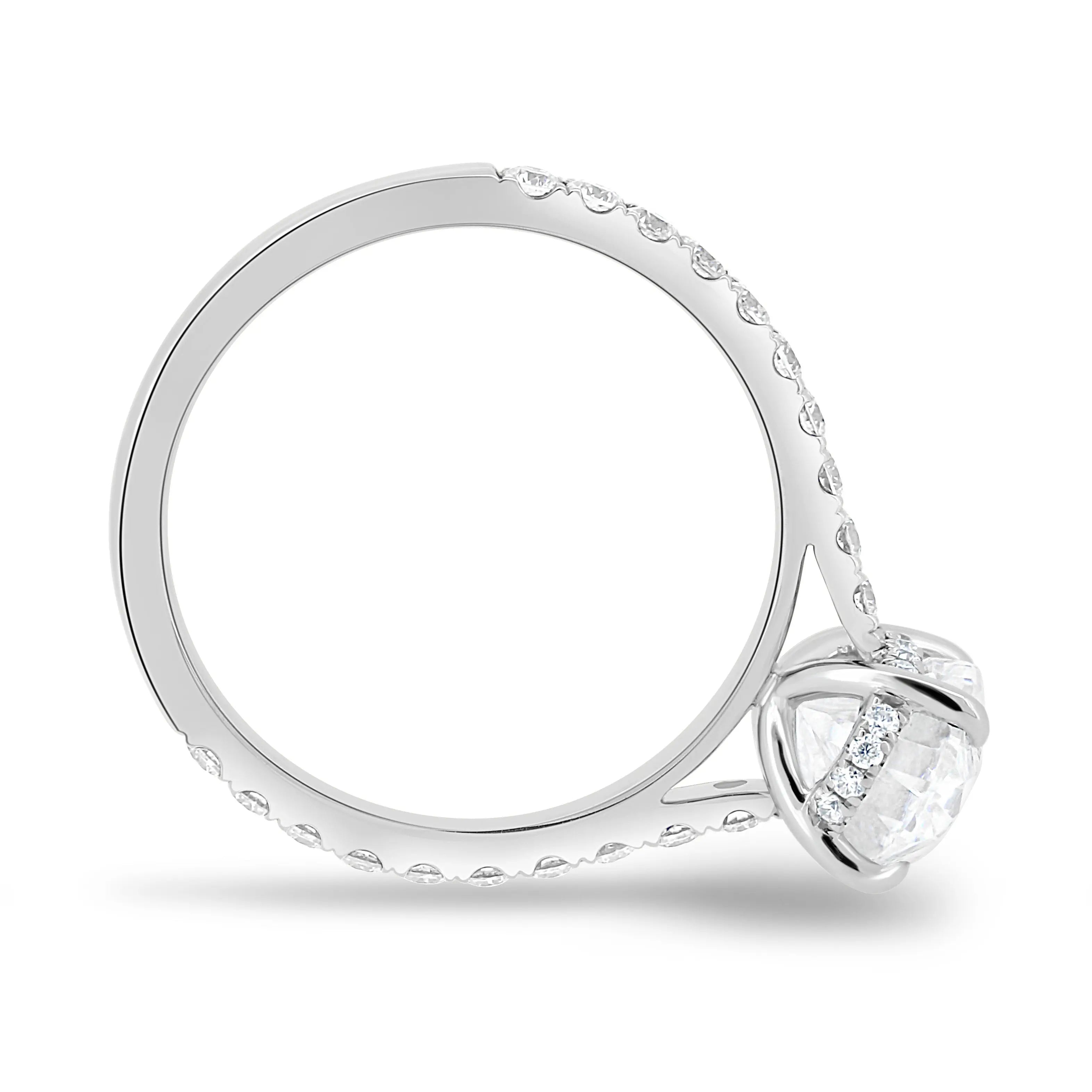 The Rhea Ring