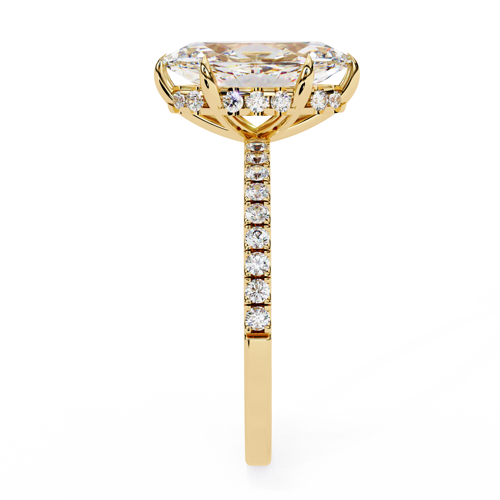 The Opulence Ring