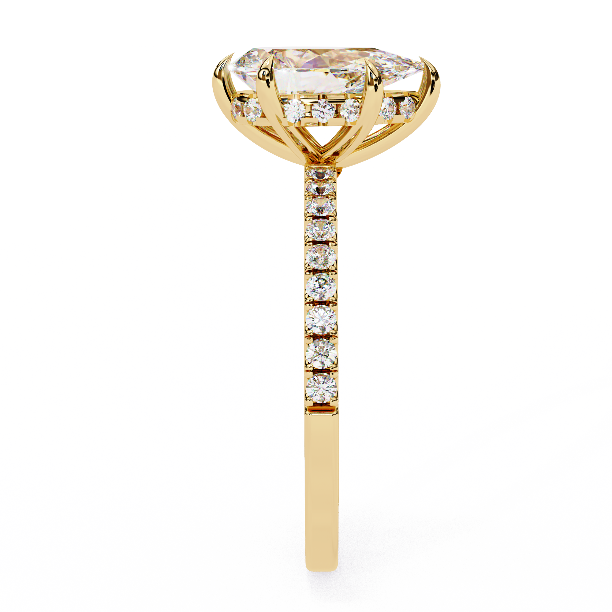 The Verola Ring