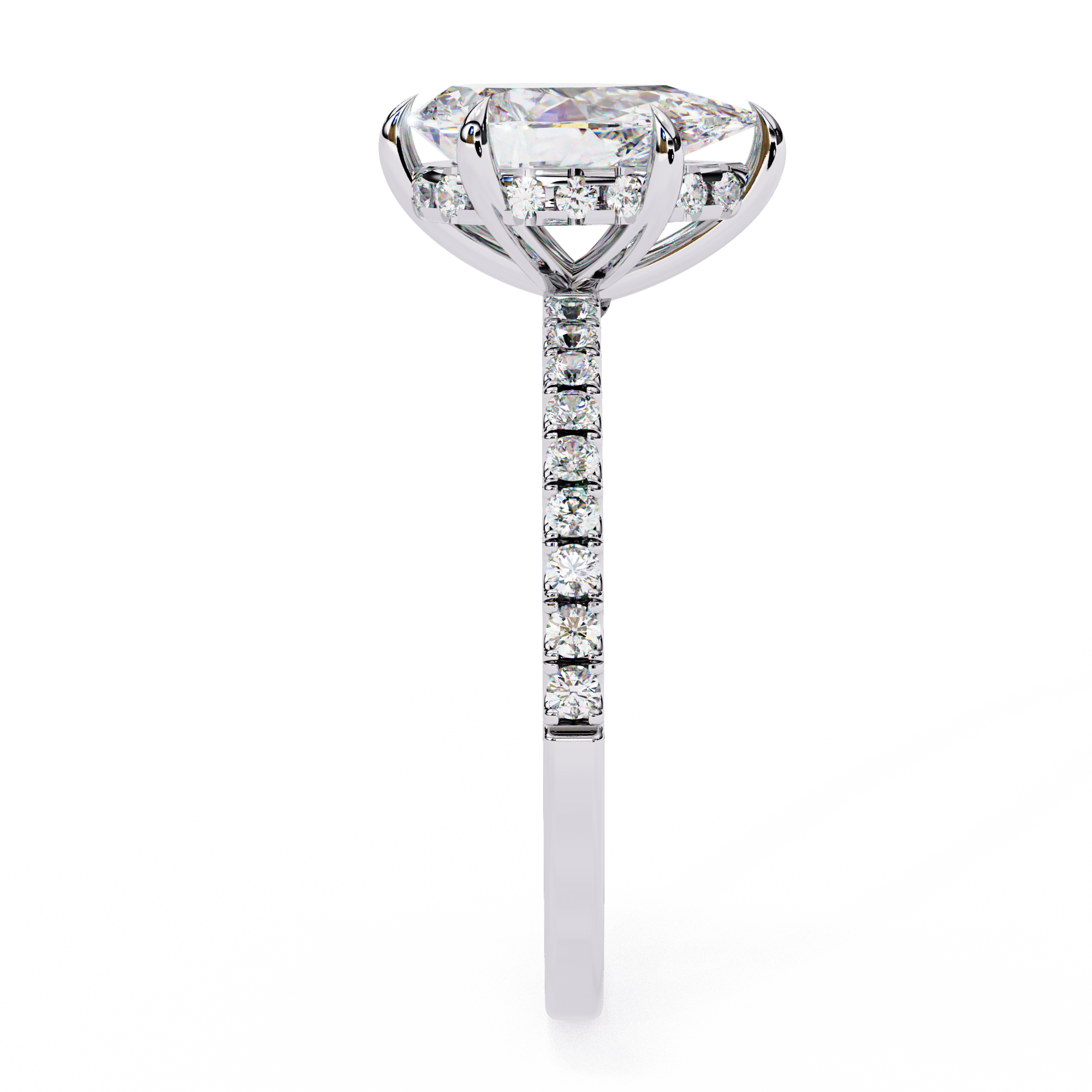 The Verola Ring