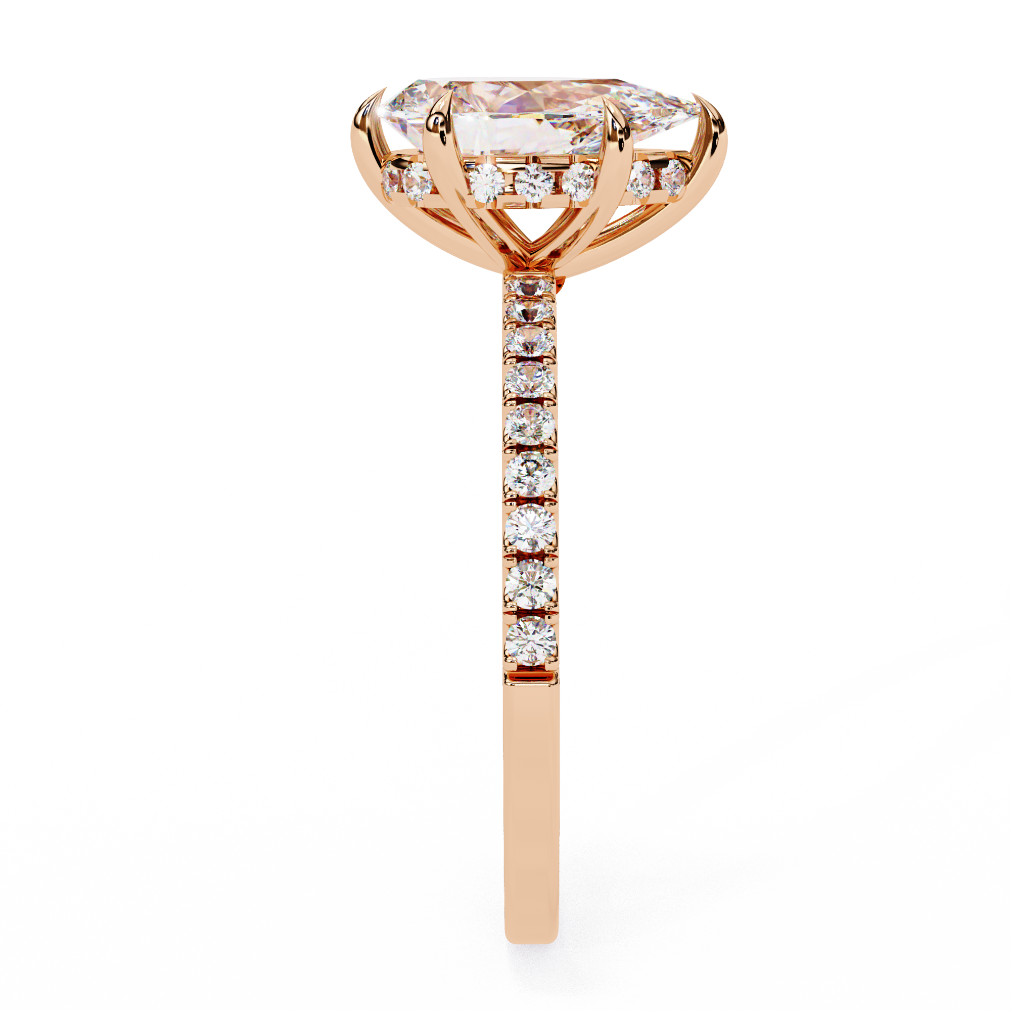 The Verola Ring