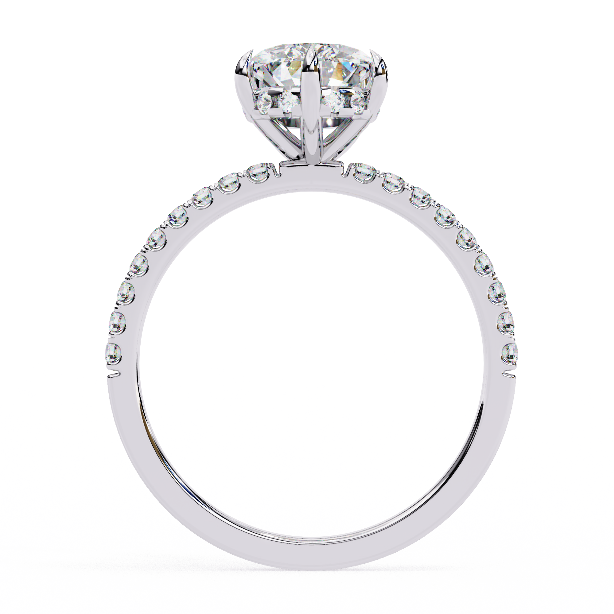The Verola Ring