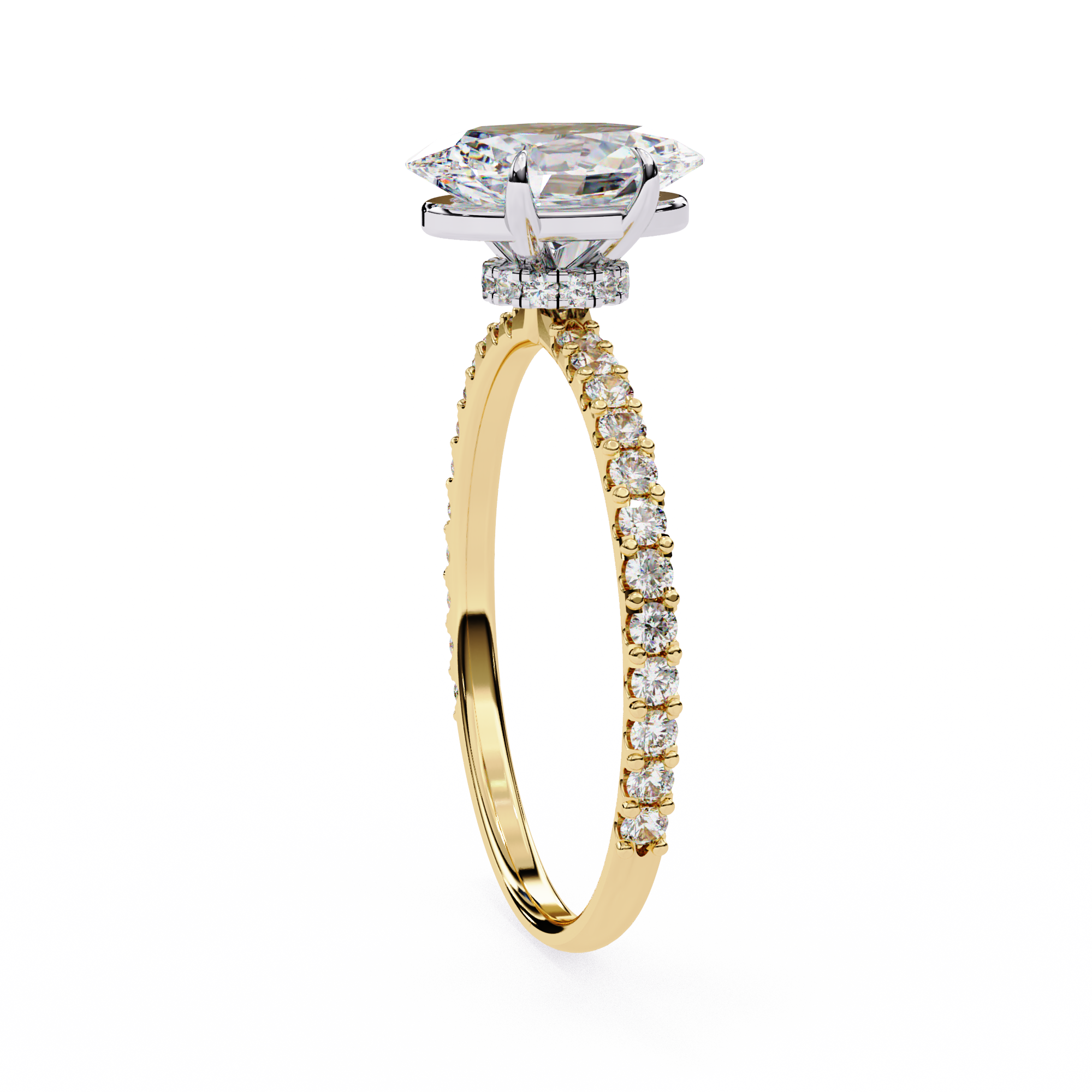 The Valencia Ring